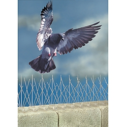 Фото противоприсадные шипы от птиц Еж-стандарт (устройство для отпугивания птиц)